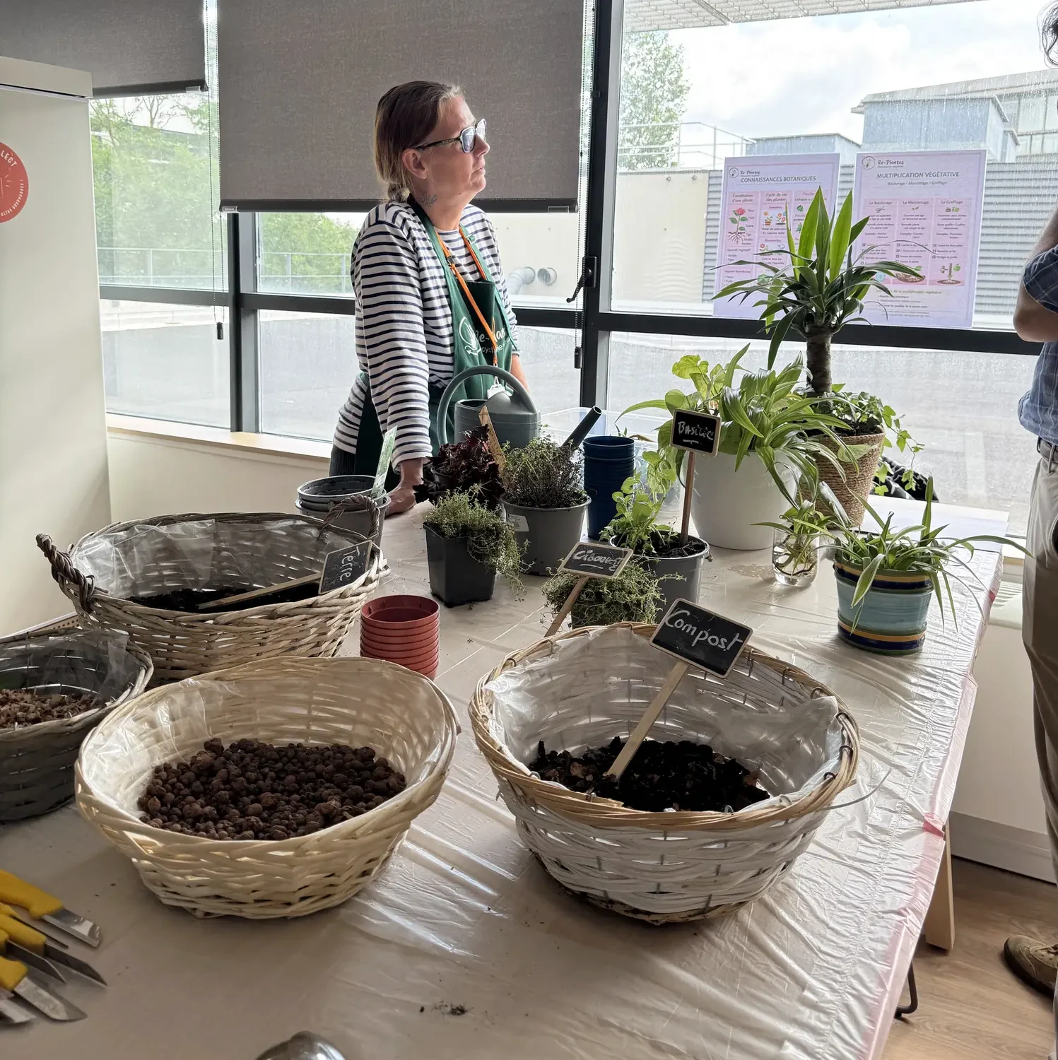 Re-Plantes_SAFRAN juin 26