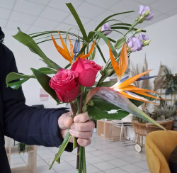 20250228_Re-plantes.fr_Bouquet-colore