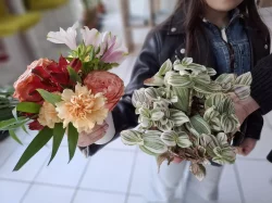 20250228_Re-plantes.fr_Deux-bouquets-adoptes