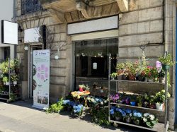 Le local de Re-Plantes, 28 cours Saint-Louis à Bordeaux